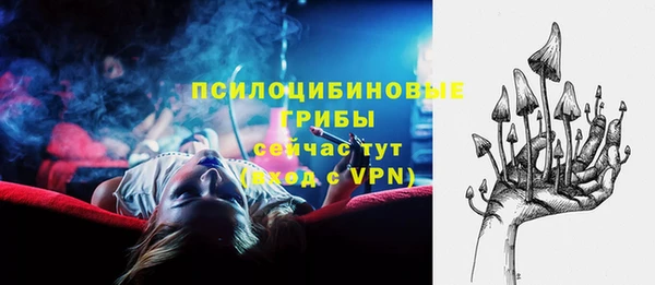 прущий лед Вязьма