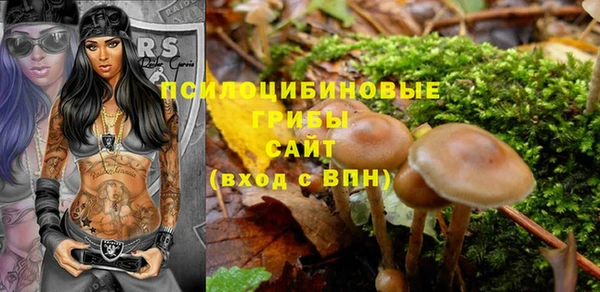 прущий лед Вязьма