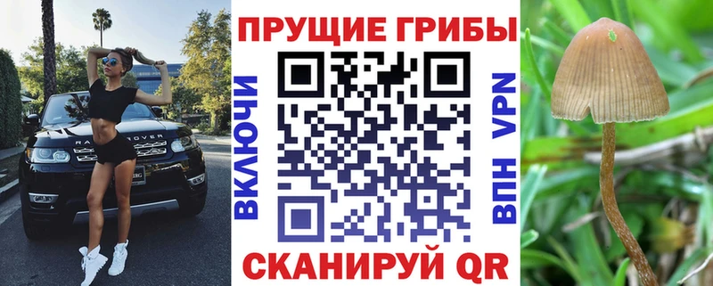 blacksprut ссылки  Балаково  Псилоцибиновые грибы GOLDEN TEACHER 